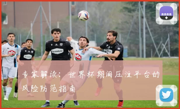 专家解读:世界杯期间压注平台的风险防范指南
