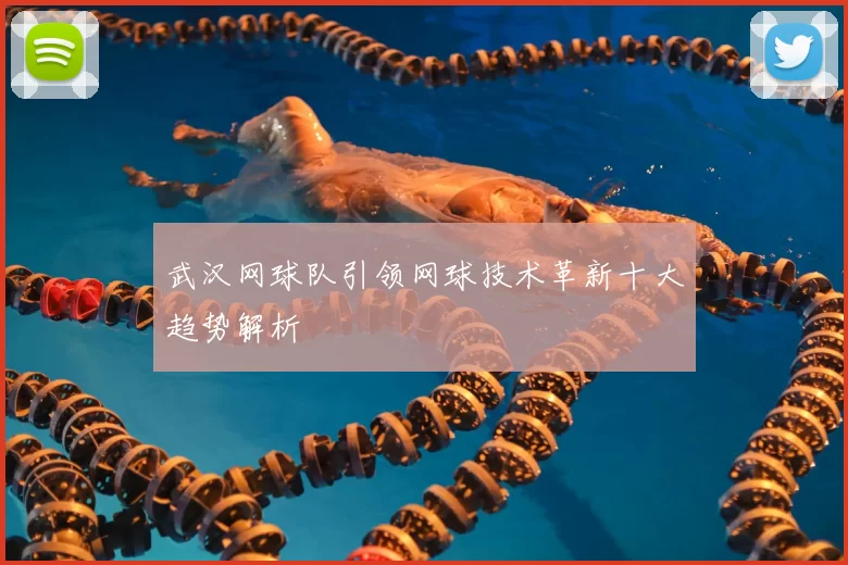 武汉网球队引领网球技术革新十大趋势解析
