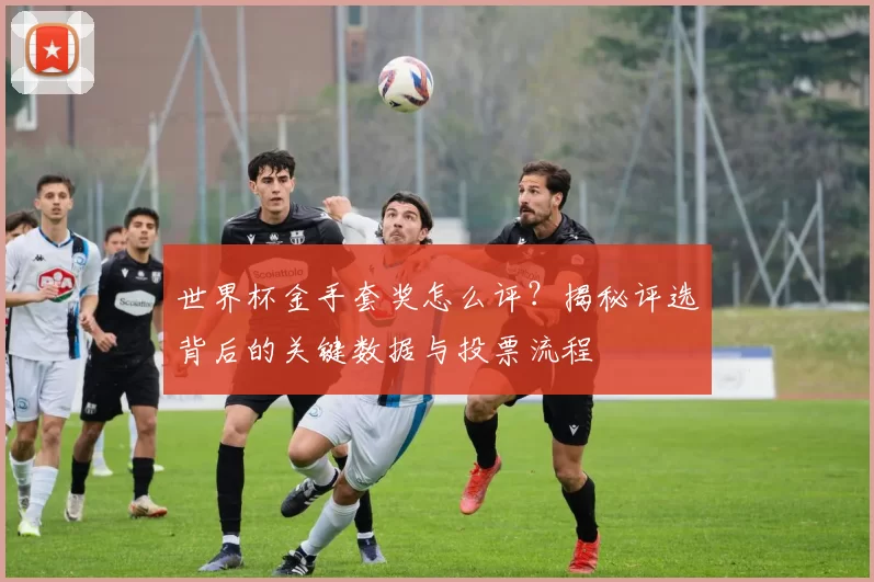 世界杯金手套奖怎么评？揭秘评选背后的关键数据与投票流程
