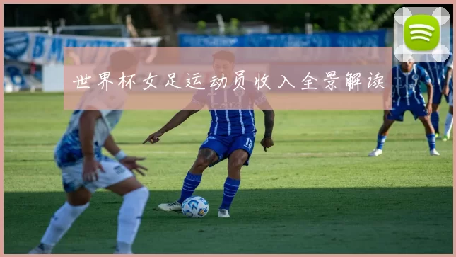 世界杯女足运动员收入全景解读
