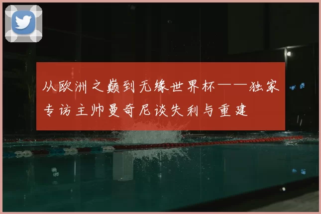 从欧洲之巅到无缘世界杯——独家专访主帅曼奇尼谈失利与重建