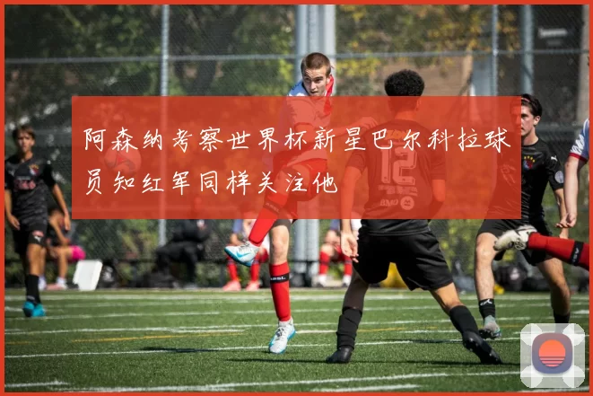 阿森纳考察世界杯新星巴尔科拉球员知红军同样关注他