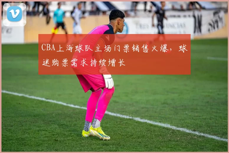CBA上海球队主场门票销售火爆，球迷购票需求持续增长